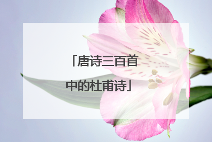 唐诗三百首中的杜甫诗