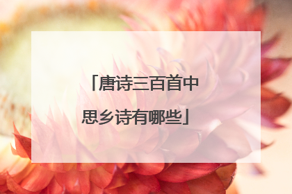 唐诗三百首中思乡诗有哪些