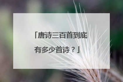 唐诗三百首到底有多少首诗？