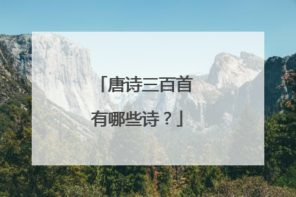 唐诗三百首有哪些诗？