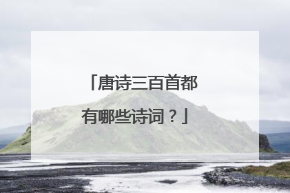 唐诗三百首都有哪些诗词？