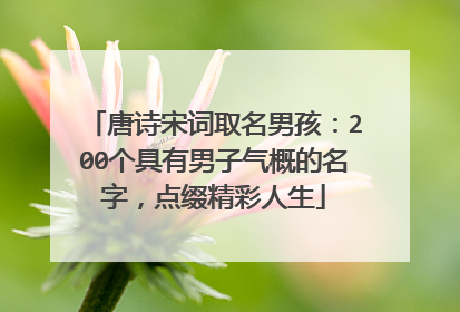 唐诗宋词取名男孩：200个具有男子气概的名字，点缀精彩人生