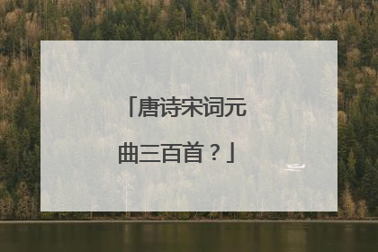 唐诗宋词元曲三百首?