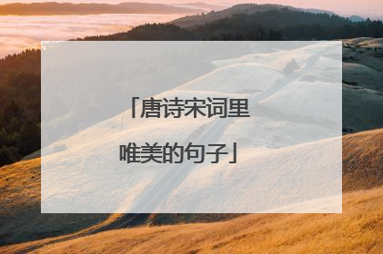 唐诗宋词里唯美的句子