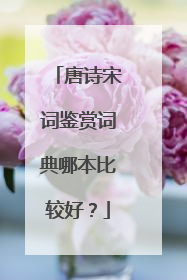 唐诗宋词鉴赏词典哪本比较好？