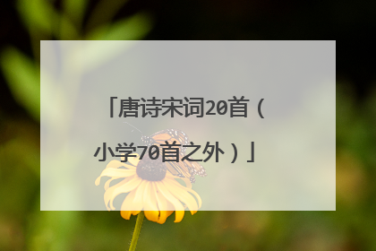 唐诗宋词20首(小学70首之外)
