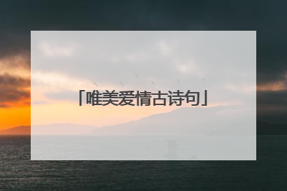 唯美爱情古诗句