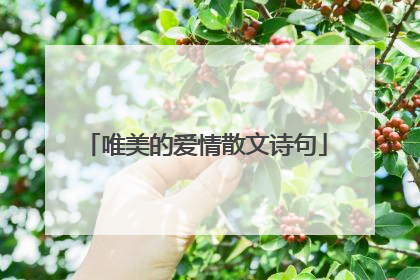 唯美的爱情散文诗句