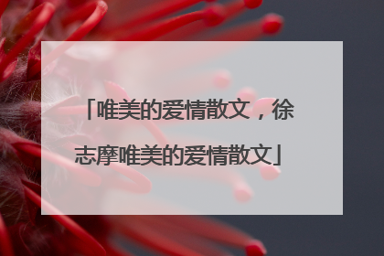 唯美的爱情散文，徐志摩唯美的爱情散文