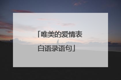 唯美的爱情表白语录语句