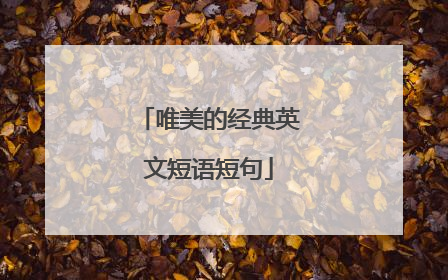 唯美的经典英文短语短句