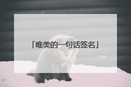 唯美的一句话签名