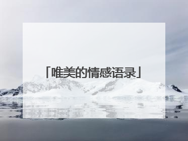 唯美的情感语录