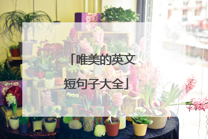 唯美的英文短句子大全
