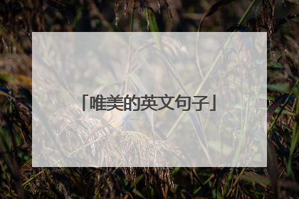 唯美的英文句子