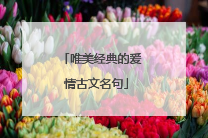 唯美经典的爱情古文名句