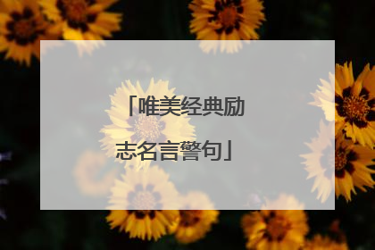 唯美经典励志名言警句