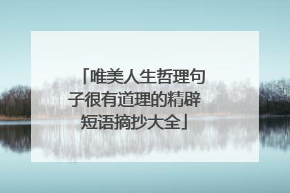 唯美人生哲理句子很有道理的精辟短语摘抄大全