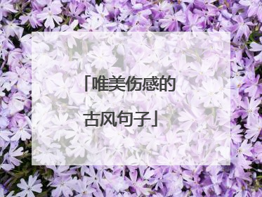 唯美伤感的古风句子