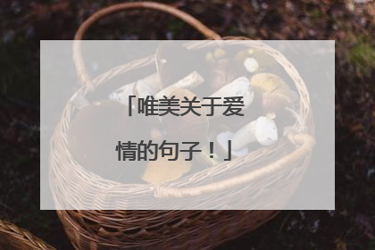 唯美关于爱情的句子！