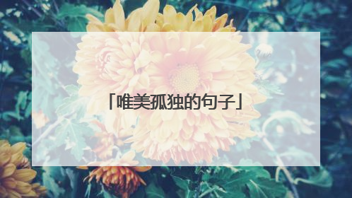 唯美孤独的句子