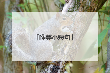 唯美小短句