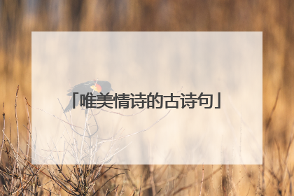唯美情诗的古诗句