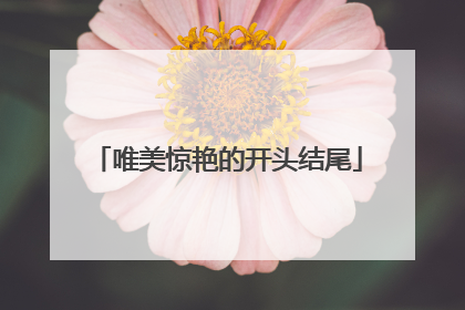 唯美惊艳的开头结尾