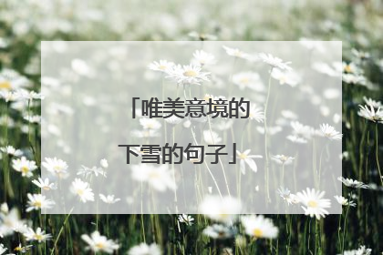 唯美意境的下雪的句子