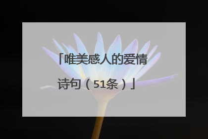 唯美感人的爱情诗句（51条）