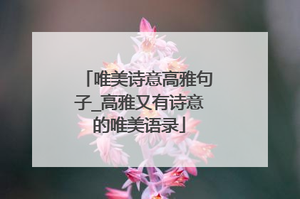唯美诗意高雅句子_高雅又有诗意的唯美语录