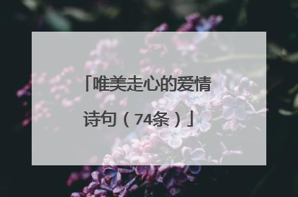 唯美走心的爱情诗句（74条）