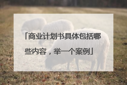 商业计划书具体包括哪些内容，举一个案例