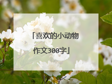 喜欢的小动物作文300字
