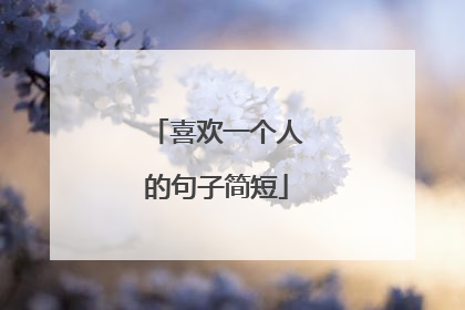 喜欢一个人的句子简短