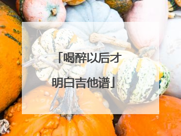 喝醉以后才明白吉他谱