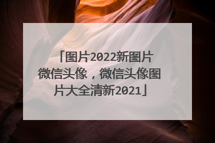 图片2022新图片微信头像，微信头像图片大全清新2021