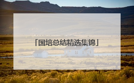 国培总结精选集锦