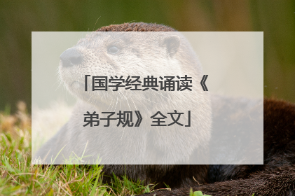 国学经典诵读《弟子规》全文