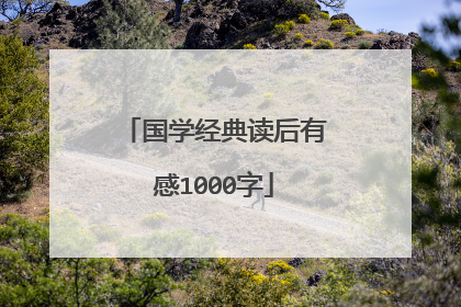 国学经典读后有感1000字