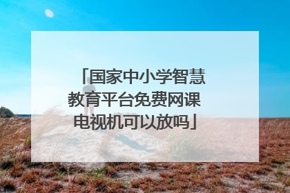 国家中小学智慧教育平台免费网课电视机可以放吗