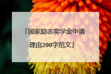 国家励志奖学金申请理由200字范文