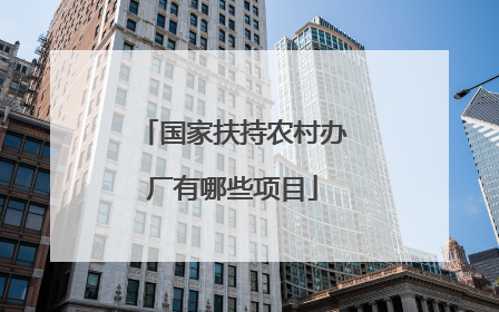 国家扶持农村办厂有哪些项目