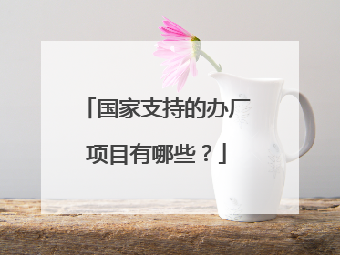 国家支持的办厂项目有哪些?