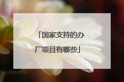 国家支持的办厂项目有哪些