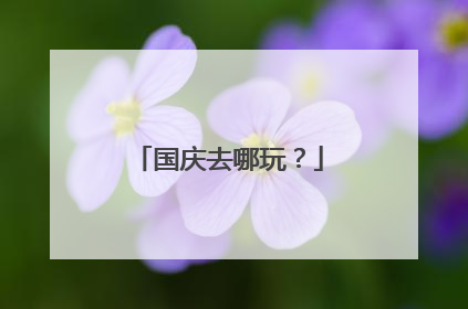 国庆去哪玩？