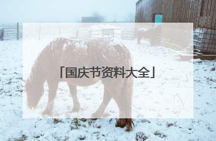 国庆节资料大全