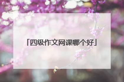 四级作文网课哪个好