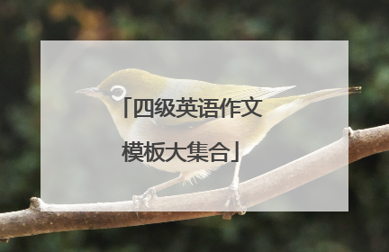 四级英语作文模板大集合