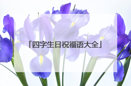 四字生日祝福语大全